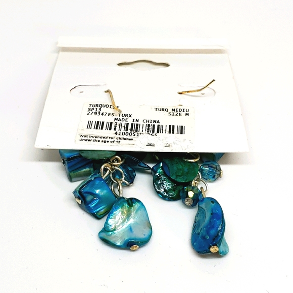 NWT Charming Charlie Earrings NWT - Picture 3 of 3